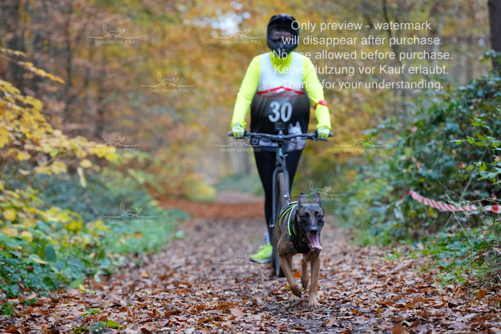 Scooter_So-61 | stephaniefillaphotographie - Realisiert mit Pictrs.com