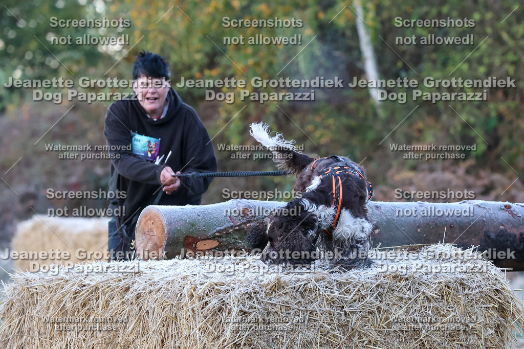 Dog Paparazzi - Strongdog 10-25-147 | Dog Paparazzi Jeanette Grottendiek Fotografie & Videografie - Realisiert mit Pictrs.com