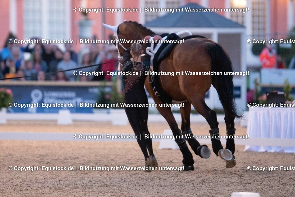 20230527_Voltigieren_NASPA_Flutlicht_0424 | equistock