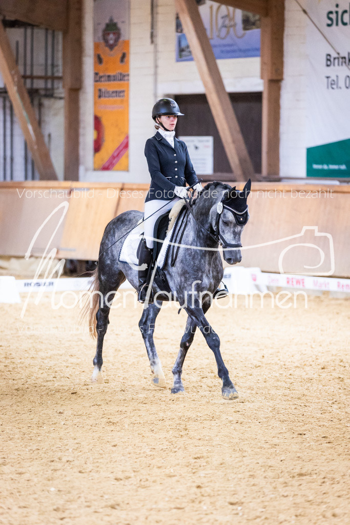 Sth-A-Dre-2St-182 | MomenTaufnahmen Pferdesportfotos