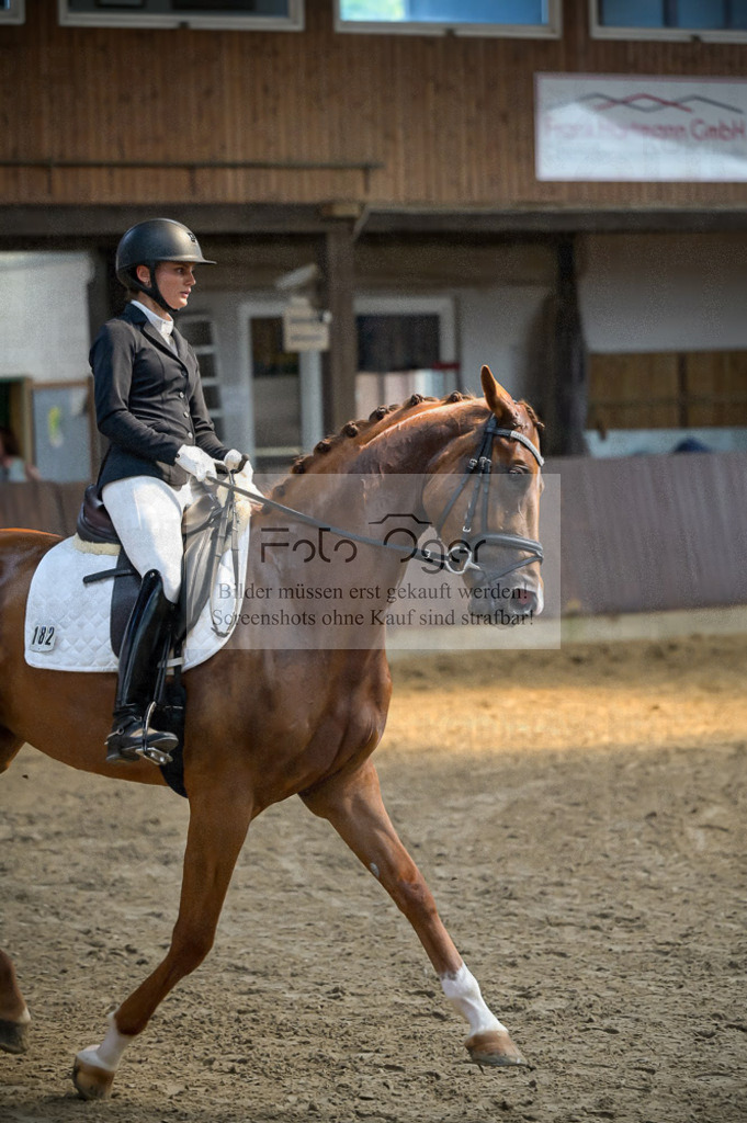 Reitturnier Voxtrup | Entdecke hochwertige Reitturnierfotos von Foto Oger. Professionell, emotional und authentisch – jetzt Lieblingsmomente im Shop bestellen.Deutschlandweite Turnierfotografie. - Realisiert mit Pictrs.com
