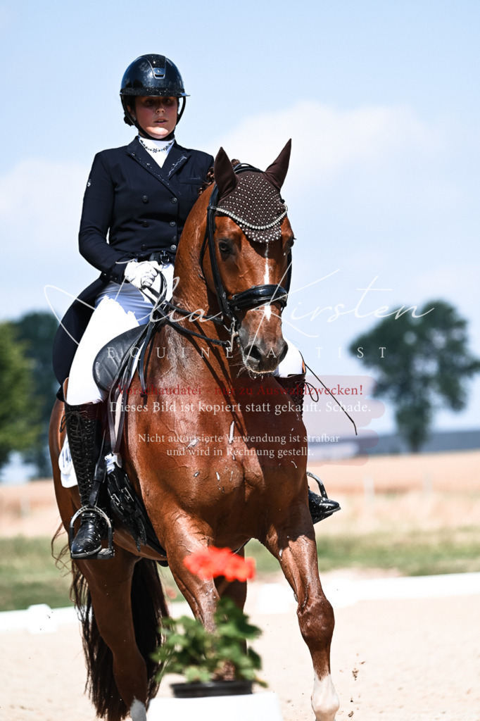 DSC_2869 | Pferde- und Turnierfotografie in Westsachsen. Pferdeportraits, Auftragszeichnungen und intuitive Kunst.