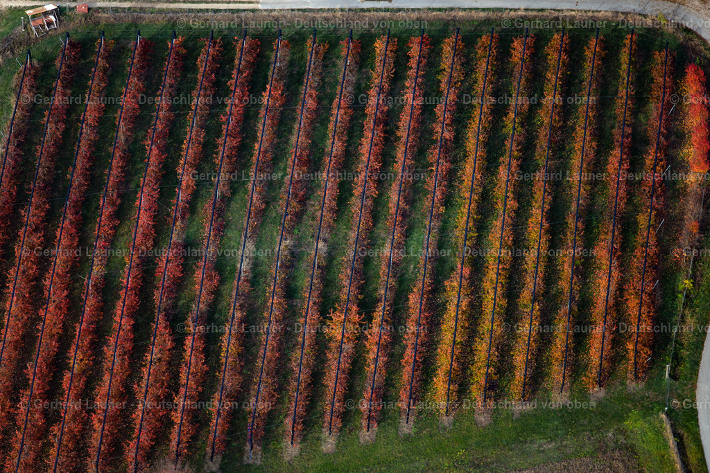 3808250 | Herbstliche Bäume am Teufelstisch bei Dachstadt
