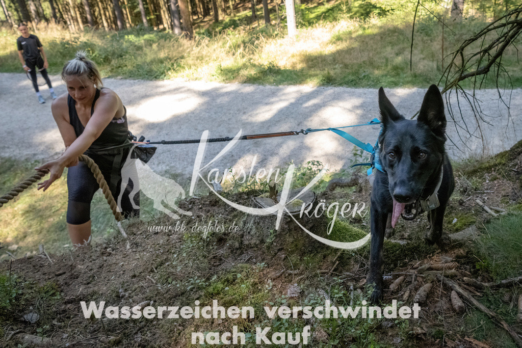 1220_ZZ94037 | kk-dogfotos