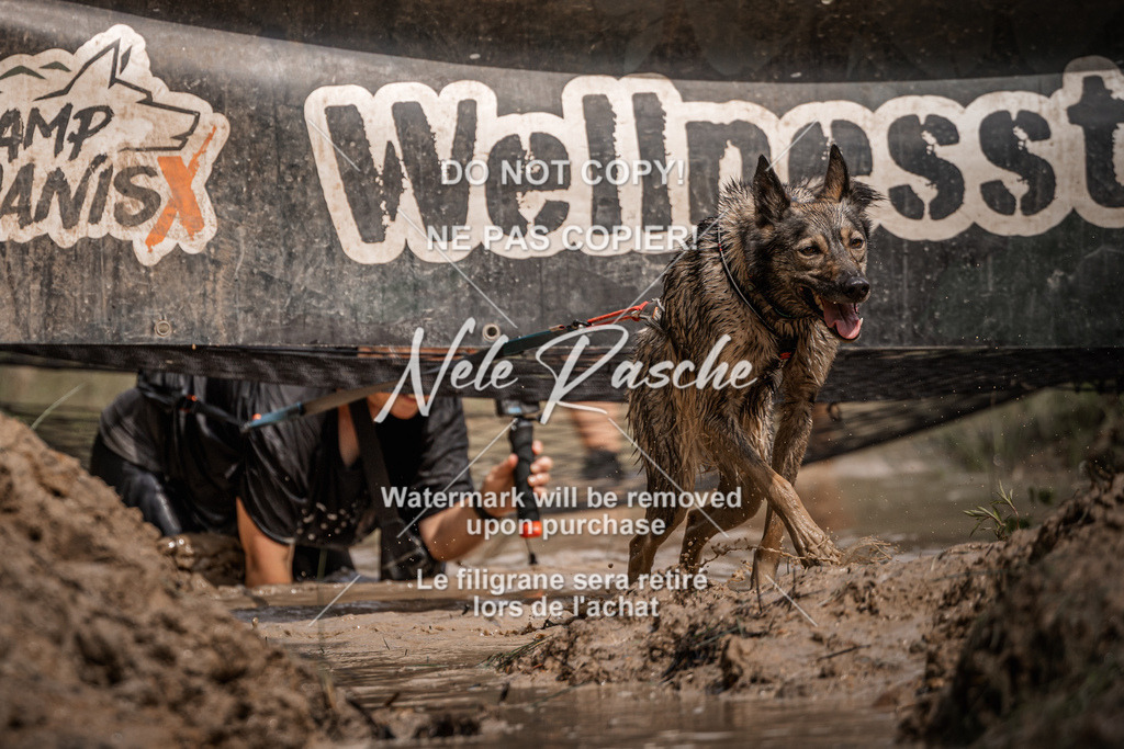 nelerasche_Hoope2026_Sa1100-1130_374 | nelerasche
