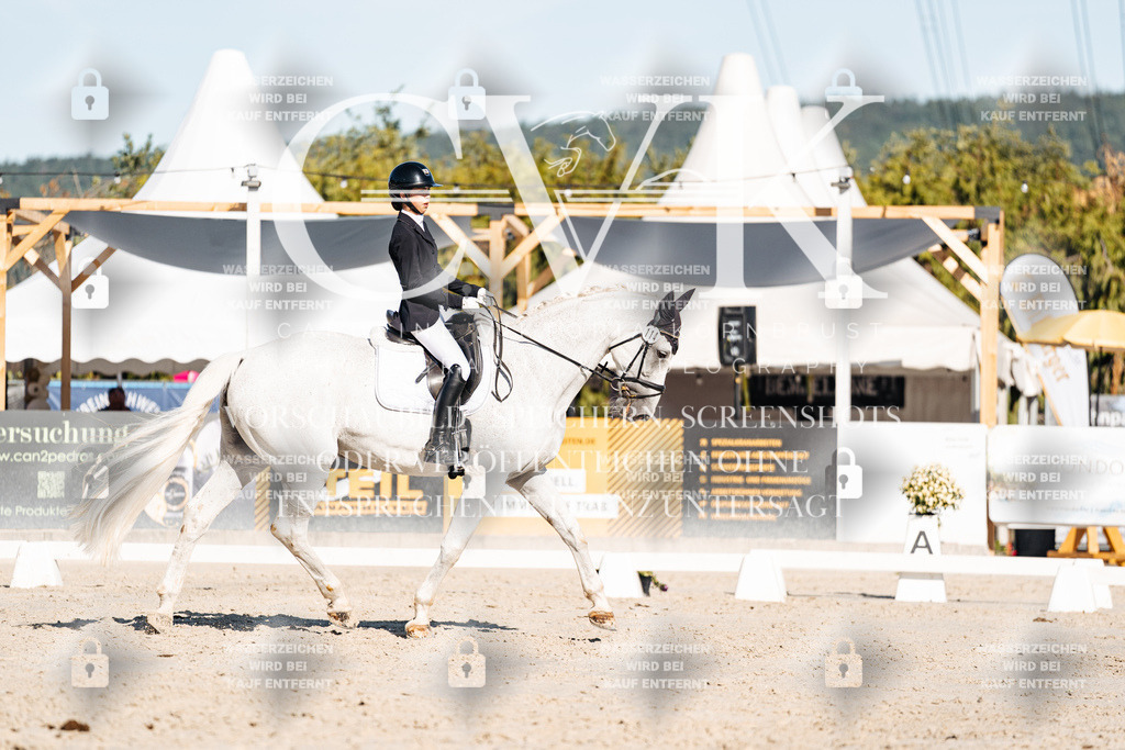 CK907509 | Turnierfotografie Pferdefotografie Trier Rheinland-Pfalz Pferdesport Reitsport Tierfotografie Sportfotografie Pferdevideo Pferdevideografie Equestrianvideography equestrianphotography  - Realisiert mit Pictrs.com