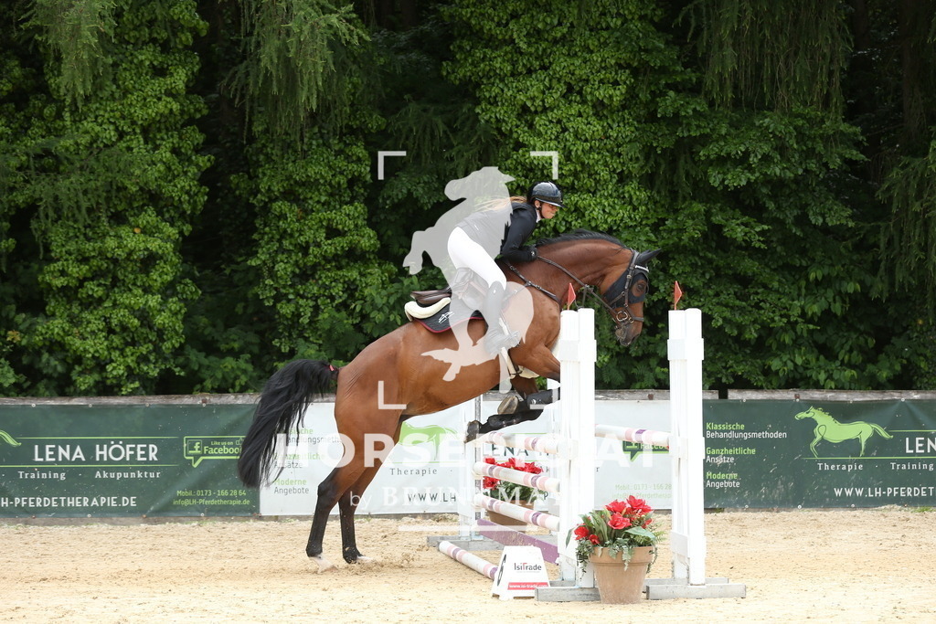 DL2Q6272 | Willkommen bei Brunnmayr - Design & Fotografie – Ihrem Spezialisten für Reitturniere und Pferdeveranstaltungen in Oberösterreich, Salzburg und Bayern! Seit über 17 Jahren sind wir leidenschaftlich dabei.