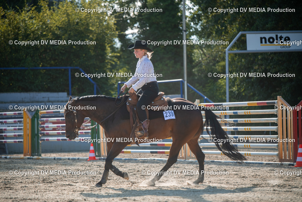 EWP_7082 | dv-media-shop - Realisiert mit Pictrs.com