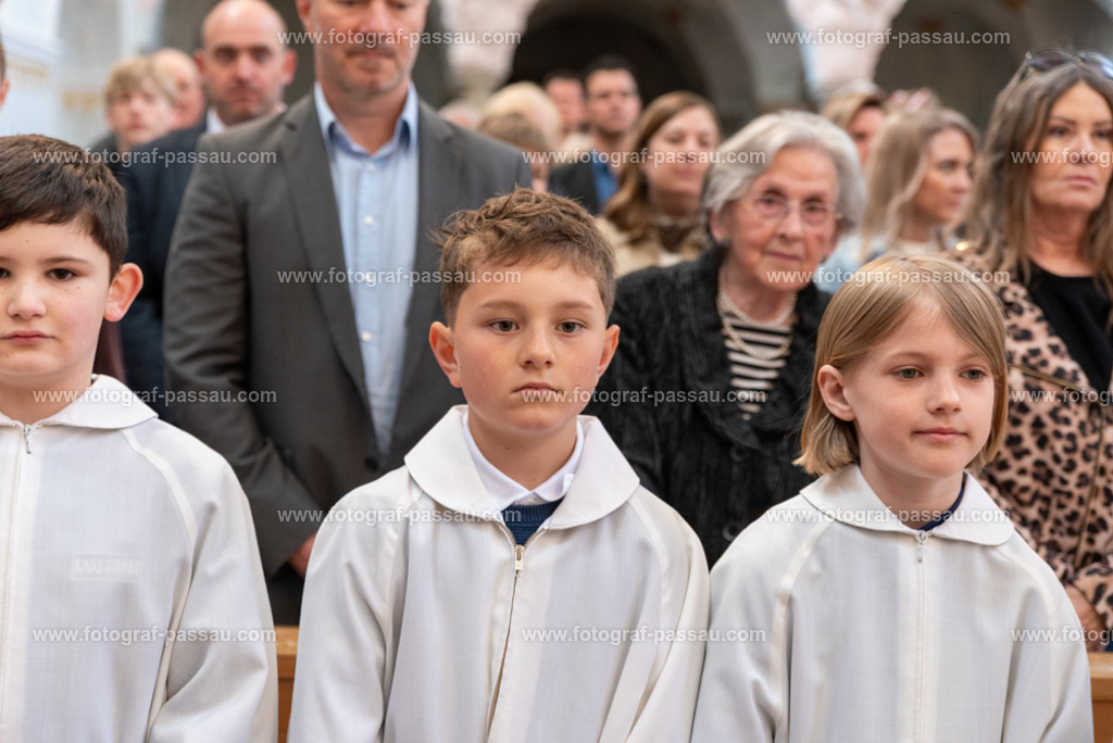 _DSC2623 | Hier finden Sie die Online Foto-Galerie von fotograf-passau.com und marius-handrugan.de. Suchen Sie sich direkt Ihre Lieblingsbilder aus, ob als Ausdruck oder Download. - Realisiert mit Pictrs.com