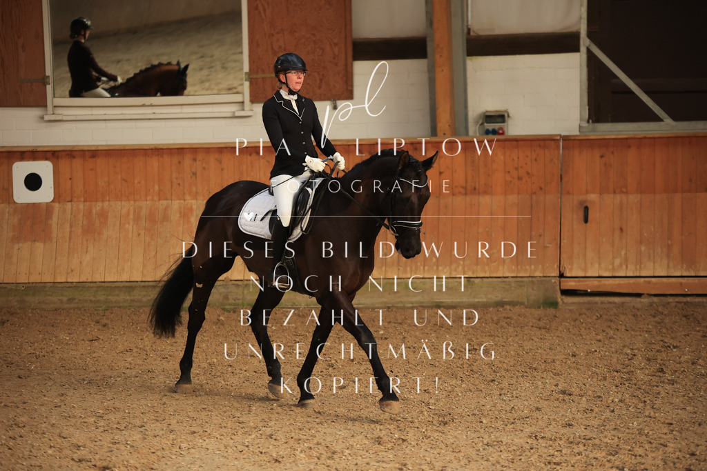 IMGT3591 | pl-fotografie