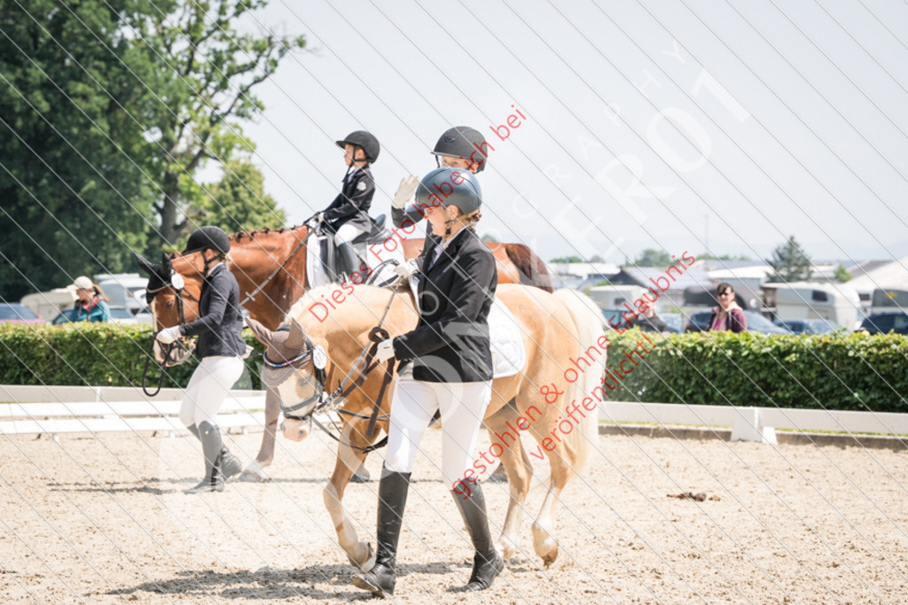 PIR00013 | Sport-, Event- und Tierfotos in Profiqualität. Einfach auswählen, bestellen und herunterladen. Dein Moment – perfekt festgehalten.