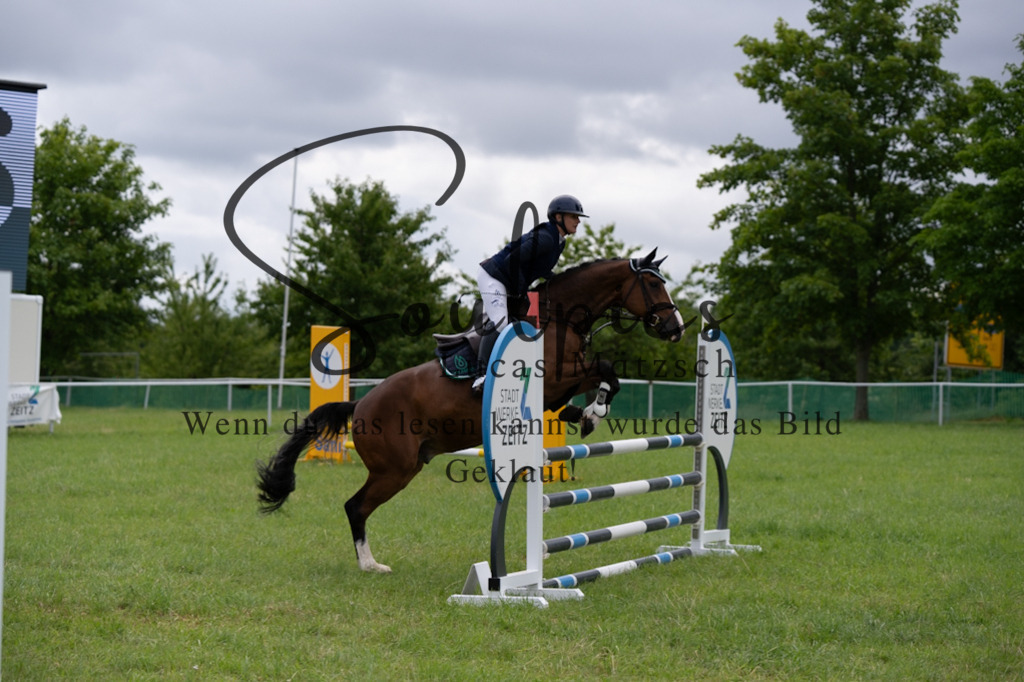 A7V03927 | Pferdefotograf