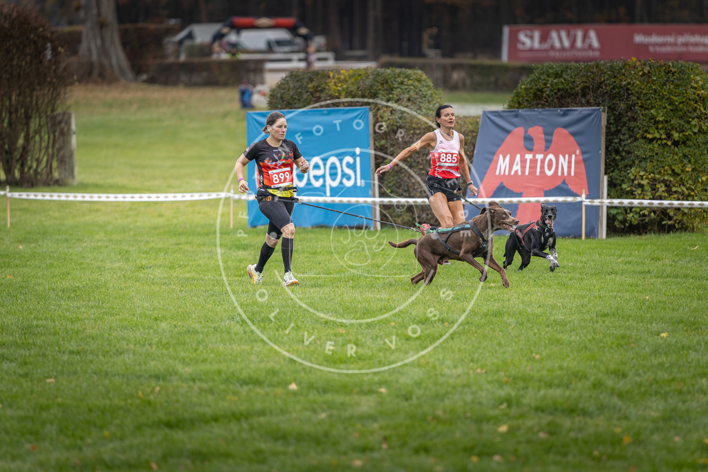 CaniXpix_DV3A6615 | Hundefotografie, Tierfotograf, Pfotenfotografie, Fotoshooting Hund, Hunde Portrait, Hundesport, Hundeportraits, Heideshooting, Hunde, Sportfotograf, Hundefotograf, Turnierhundsport, THS,  - Realisiert mit Pictrs.com