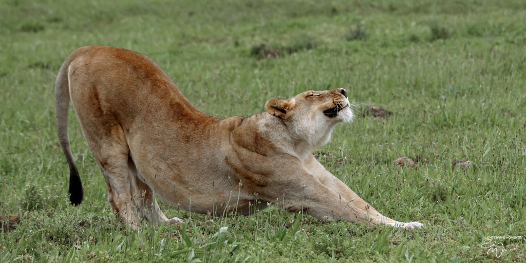 20231010-162751 SOUTHAFRIKA_-1 | Herzlich willkommen auf meiner Seite! Ich bin Elke Wallnisch, Deine Fotografin für lichtstarke Momente. Der Name steht für alles, was mich mit der Fotografie verbindet: Das Licht und seine machtvolle Wirkung auf eine Situation oder unsere Stimmung - Realisiert mit Pictrs.com