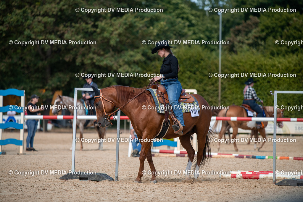 EWP_6859 | dv-media-shop - Realisiert mit Pictrs.com