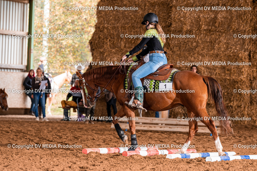 Balingen Tag 2-1279 | dv-media-shop - Realisiert mit Pictrs.com