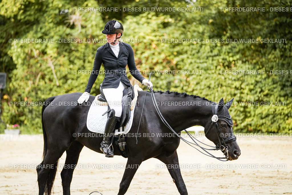 DSC03600 | Pferdegrafie