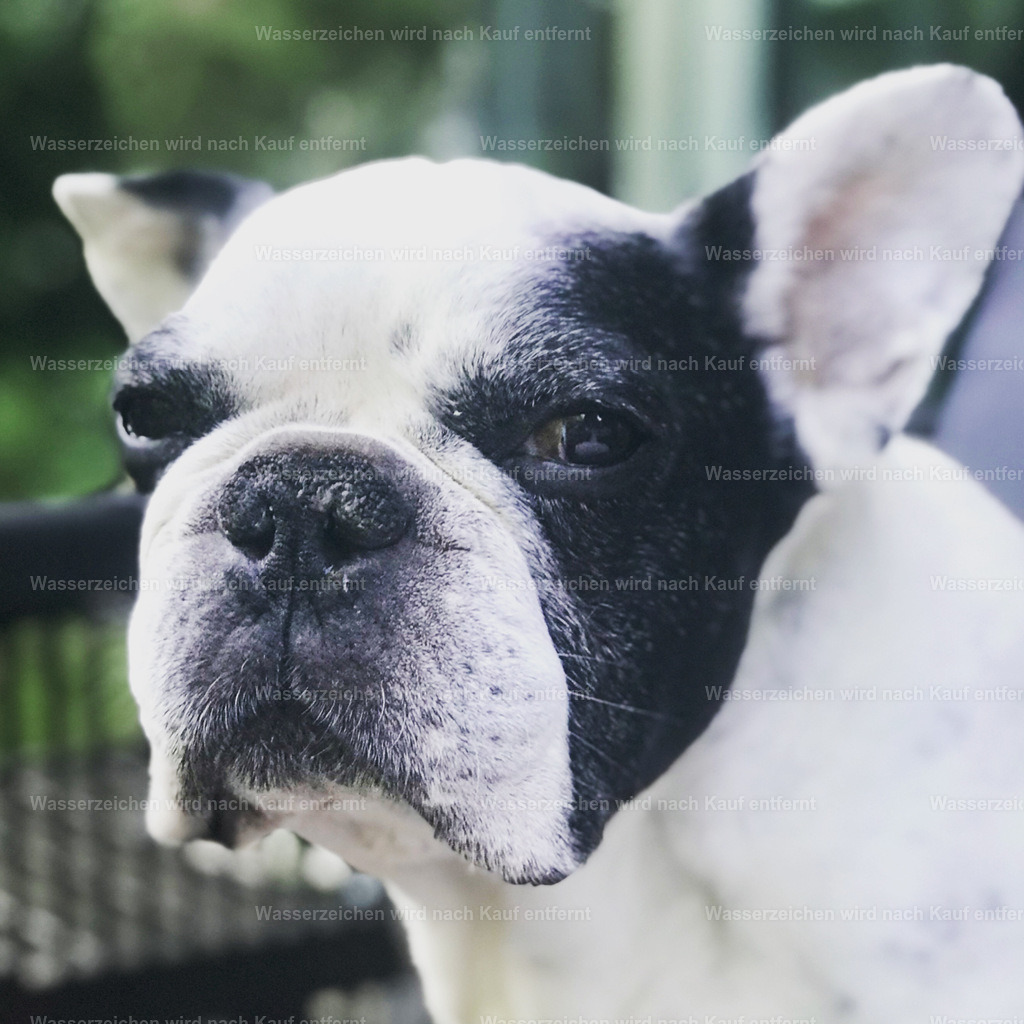 991068E4-C4D3-4D8C-89AF-7291DCF6FA01 | heikomoeller - Realisiert mit Pictrs.com