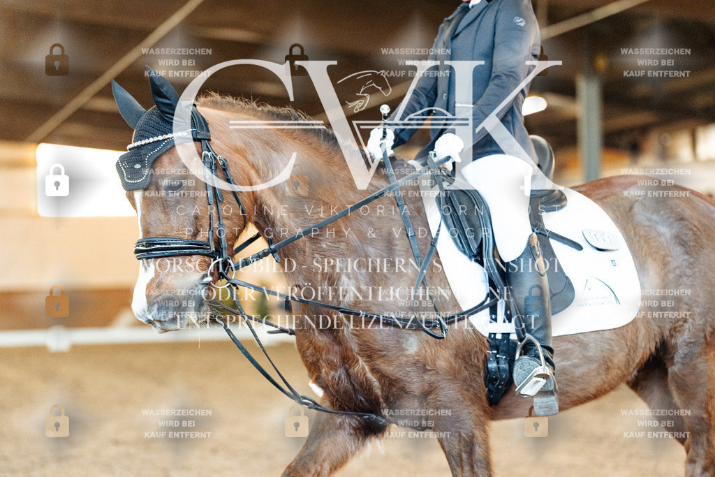 CK907070 | Turnierfotografie Pferdefotografie Trier Rheinland-Pfalz Pferdesport Reitsport Tierfotografie Sportfotografie Pferdevideo Pferdevideografie Equestrianvideography equestrianphotography  - Realized with Pictrs.com