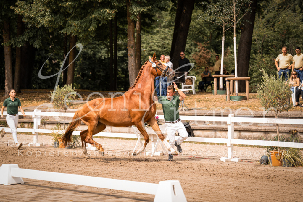 4.Fr00143 | Leoni Ertmer Photography - Realisiert mit Pictrs.com