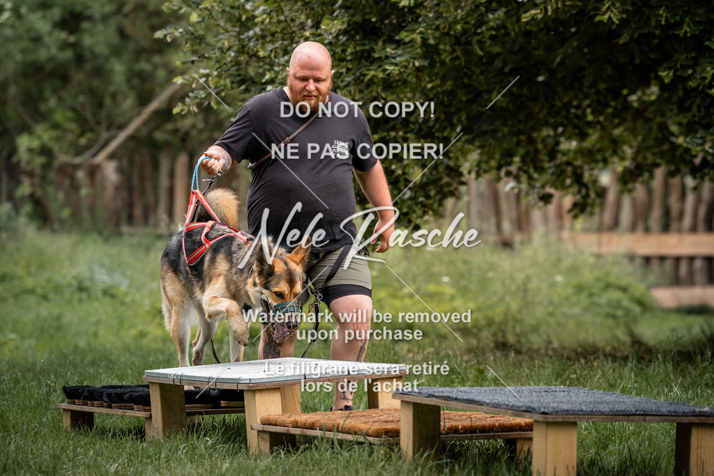 nelerasche_So-funtrail_144 | nelerasche