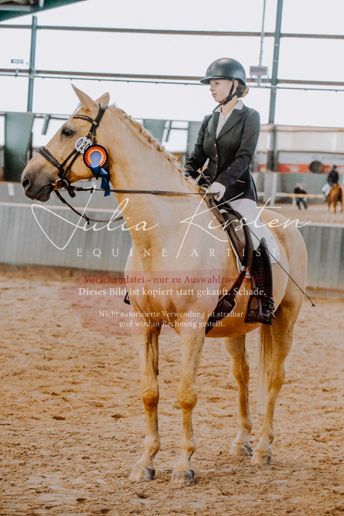 DSC_7738 | Pferde- und Turnierfotografie in Westsachsen. Pferdeportraits, Auftragszeichnungen und intuitive Kunst.
