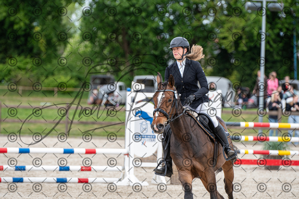 KPT_6167 | andre_photographic