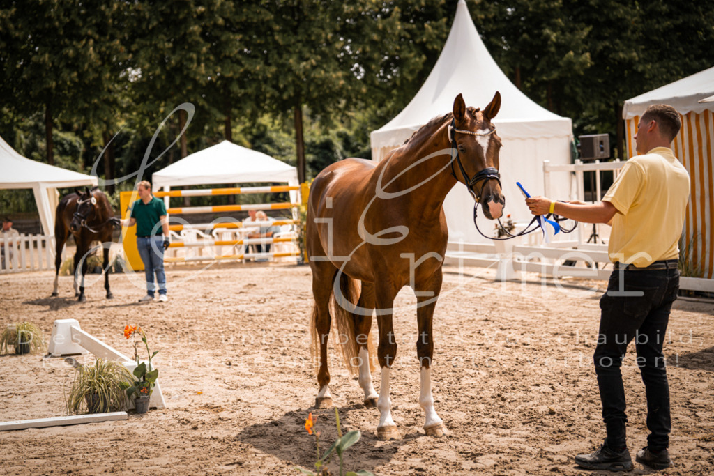 2. Fr00203 | Leoni Ertmer Photography - Realisiert mit Pictrs.com