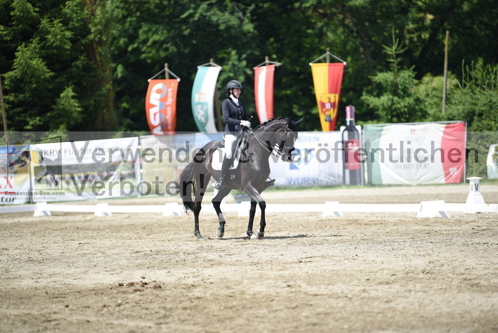 DSC_9018 | equestrian-live-com