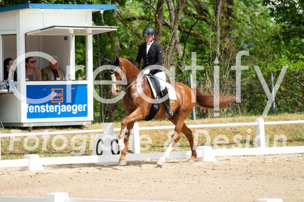 IMG_6450 | Creatify Fotografie