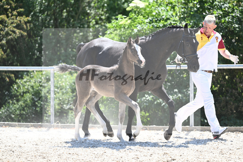 Kat-Nr. 27 SF Expresso_Lechner_16230435 | hf-fotografie - Realisiert mit Pictrs.com