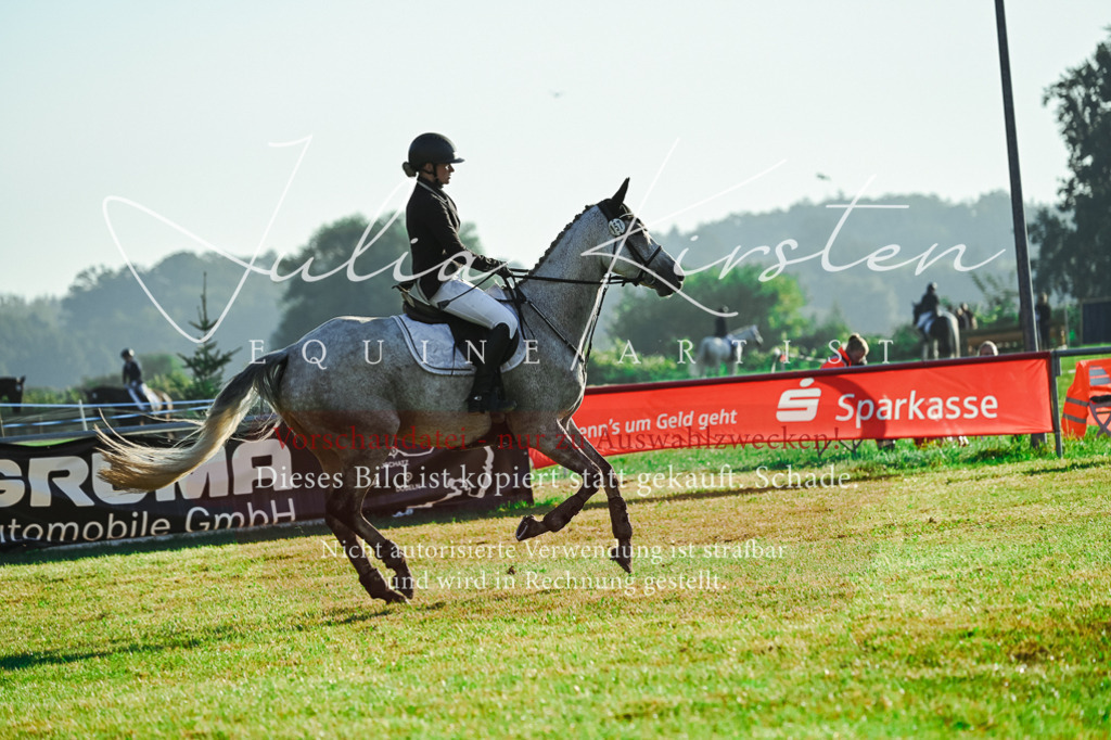 DSC_4234 | Pferde- und Turnierfotografie in Westsachsen. Pferdeportraits, Auftragszeichnungen und intuitive Kunst.