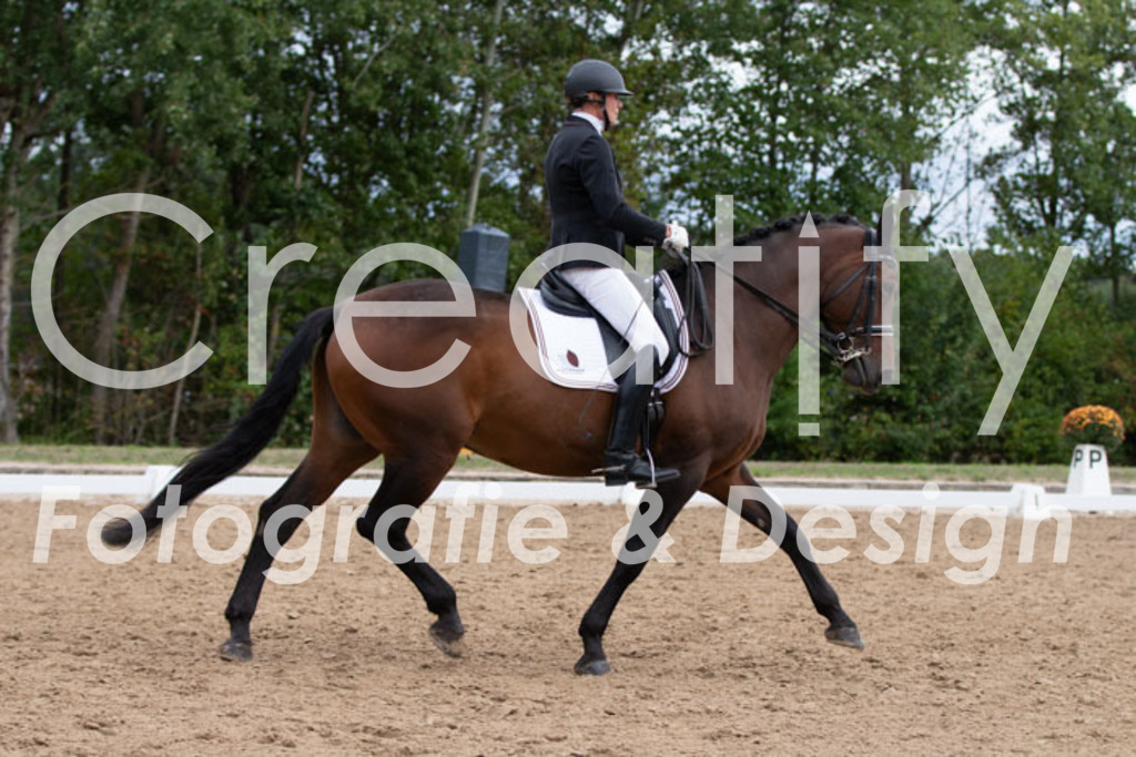 IMG_7772 | Creatify Fotografie