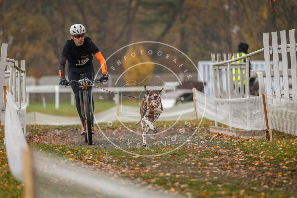 CaniXpix_DV3A7671 | Hundefotografie, Tierfotograf, Pfotenfotografie, Fotoshooting Hund, Hunde Portrait, Hundesport, Hundeportraits, Heideshooting, Hunde, Sportfotograf, Hundefotograf, Turnierhundsport, THS,  - Realisiert mit Pictrs.com