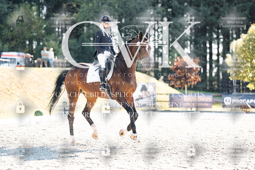 CK906501 | Turnierfotografie Pferdefotografie Trier Rheinland-Pfalz Pferdesport Reitsport Tierfotografie Sportfotografie Pferdevideo Pferdevideografie Equestrianvideography equestrianphotography  - Realisiert mit Pictrs.com