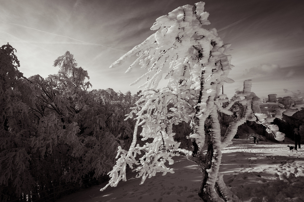 Winterliche Stimmung am Morgen auf dem Vogelberg | Schöne Fotografien aus der Stadt und der Natur zum bestellen oder selber hochladen. Druck auf Foto, Postkarte, Kalender, FineArt Hahnemühle, Alu-Dibond , Akustikbilder zur Absorption von Schall und Lärm etc. - Realisiert mit Pictrs.com