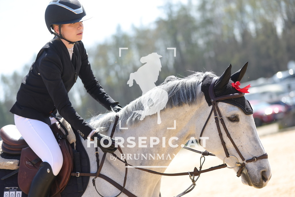 0P6A0291 | Willkommen bei Brunnmayr - Design & Fotografie – Ihrem Spezialisten für Reitturniere und Pferdeveranstaltungen in Oberösterreich, Salzburg und Bayern! Seit über 17 Jahren sind wir leidenschaftlich dabei.