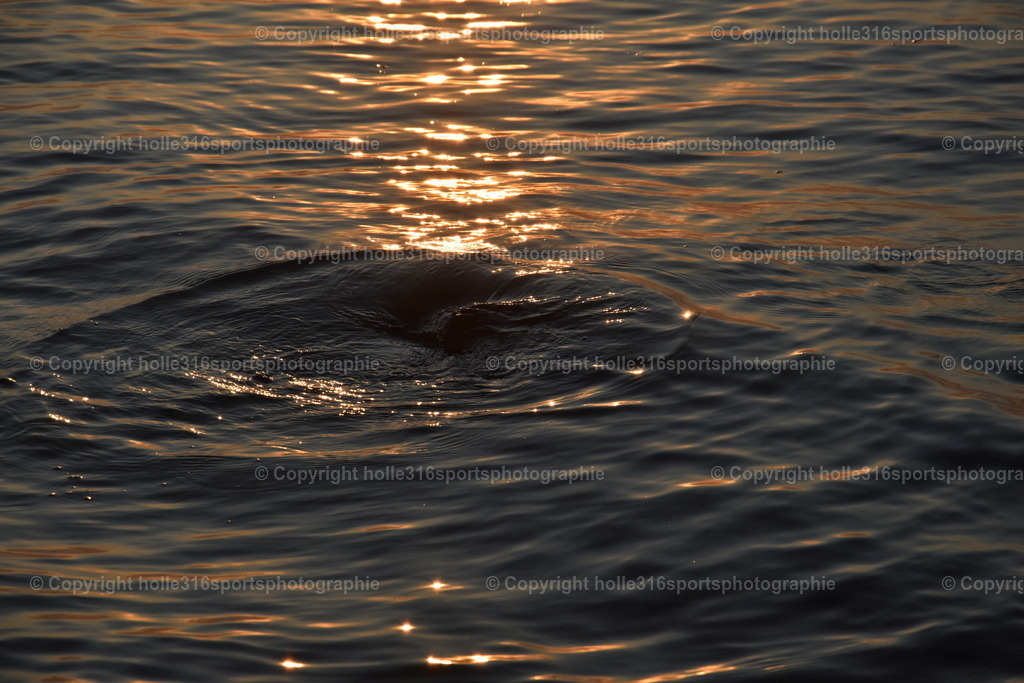 DSC_0129 | Sportfotografie , Motorsport, Motoross, Reitsport, Mointainbike, Enduro,
Landschaft , Outdoor, Eventfotografie, Landschaft, Bilder online bestellen - Realisiert mit Pictrs.com