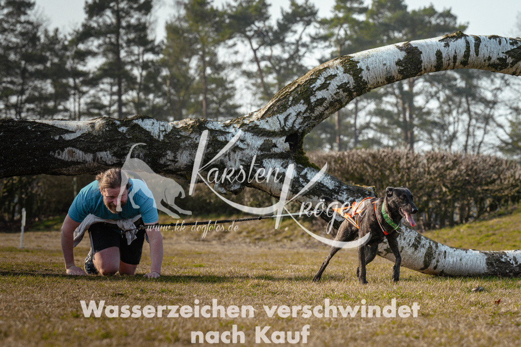 0930_ZZ99273 | kk-dogfotos