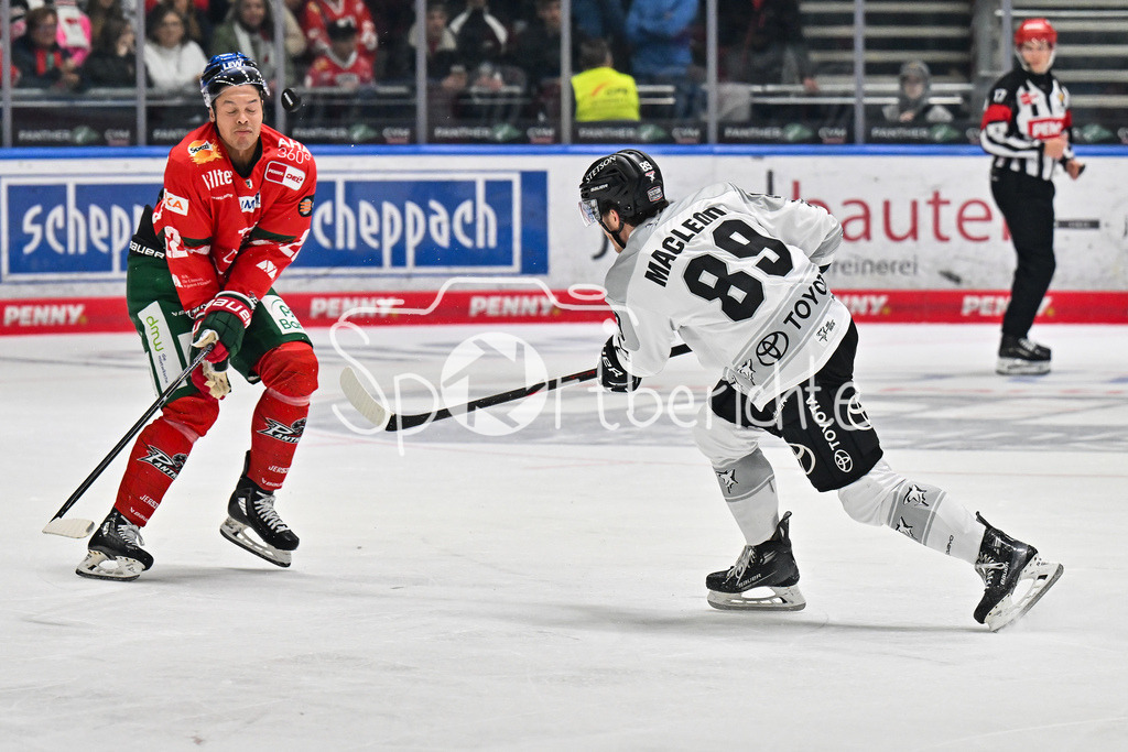 Augsburger Panther - Kölner Haie | Der Schuss von Gregor MACLEOD (Kölner Haie 89) trifft Madison BOWEY (Augsburger Panther 22) im Gesicht / DEL: Augsburger Panther - Kölner Haie; Curt Frenzel Stadion am 26.09.2025