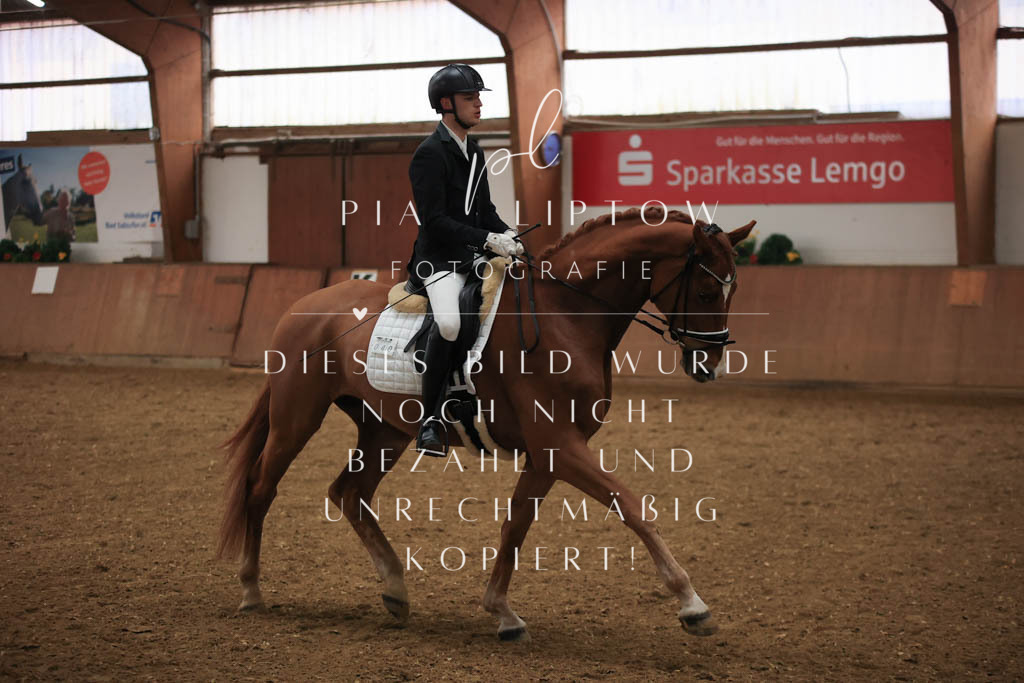 IMGT6960 | pl-fotografie