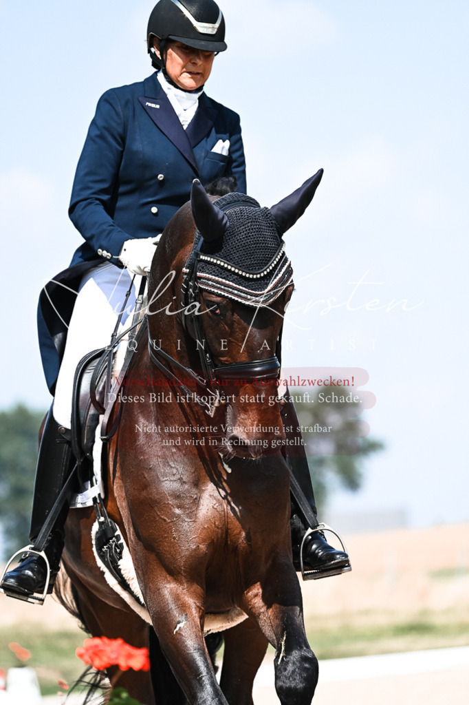 DSC_2903 | Pferde- und Turnierfotografie in Westsachsen. Pferdeportraits, Auftragszeichnungen und intuitive Kunst.