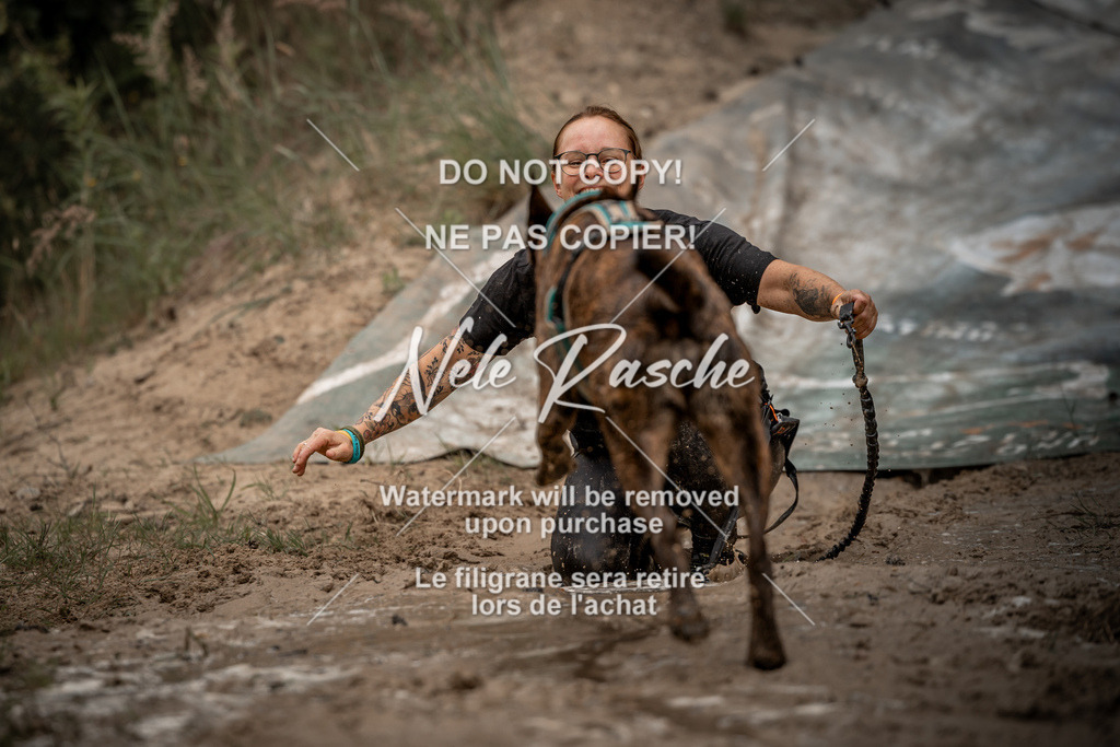 nelerasche_sa1000-1100_249 | nelerasche