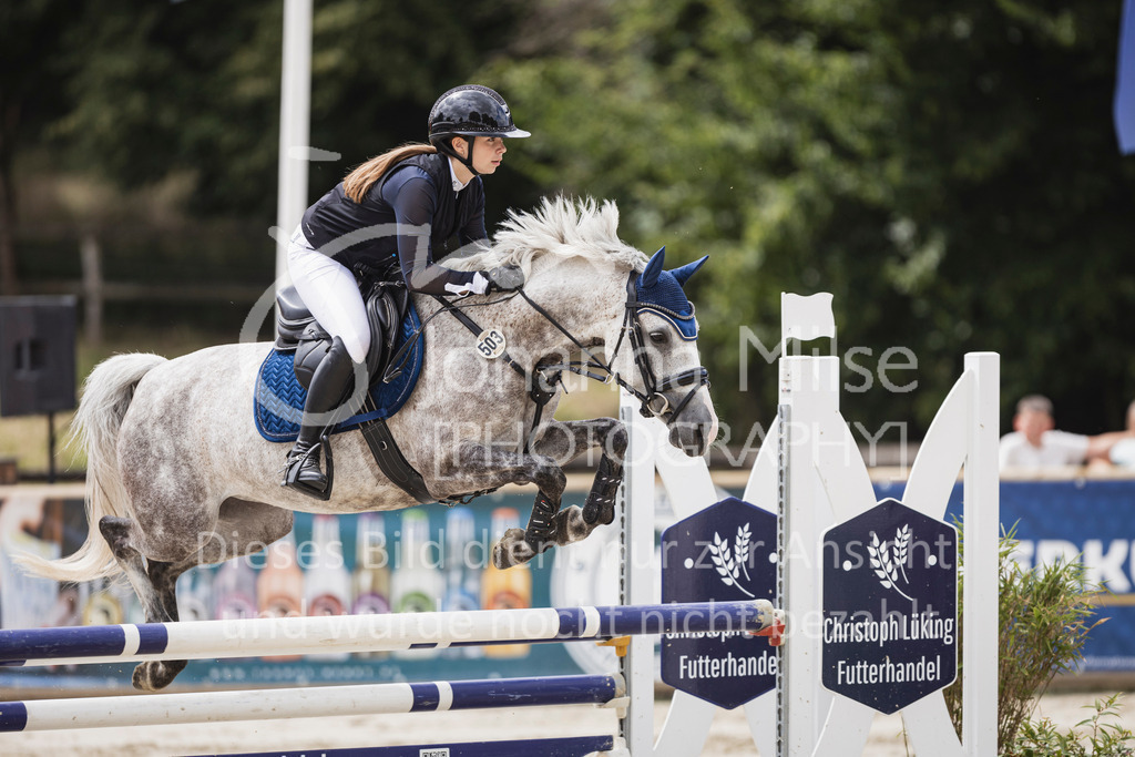 250711_BHO_A2-Spr-2-240 | Deine schönsten Turniermomente als professionelle Fotos! Entdecke hochwertige Pferdesport-Fotografie im Online-Shop. Jetzt Fotos finden & bestellen!