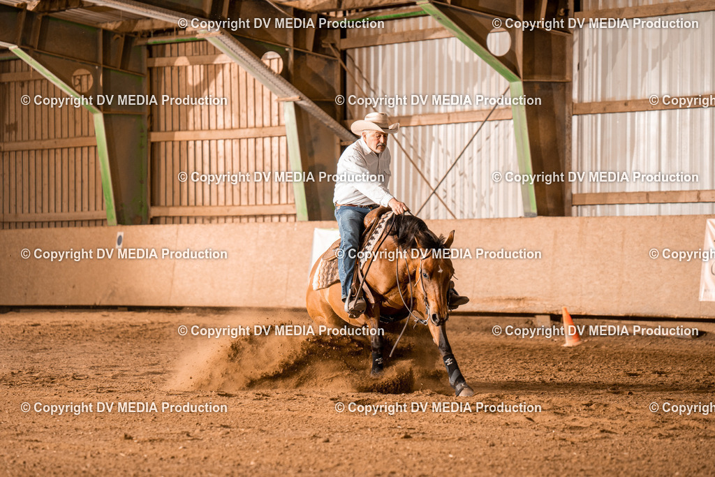 BA301098 | dv-media-shop - Realisiert mit Pictrs.com