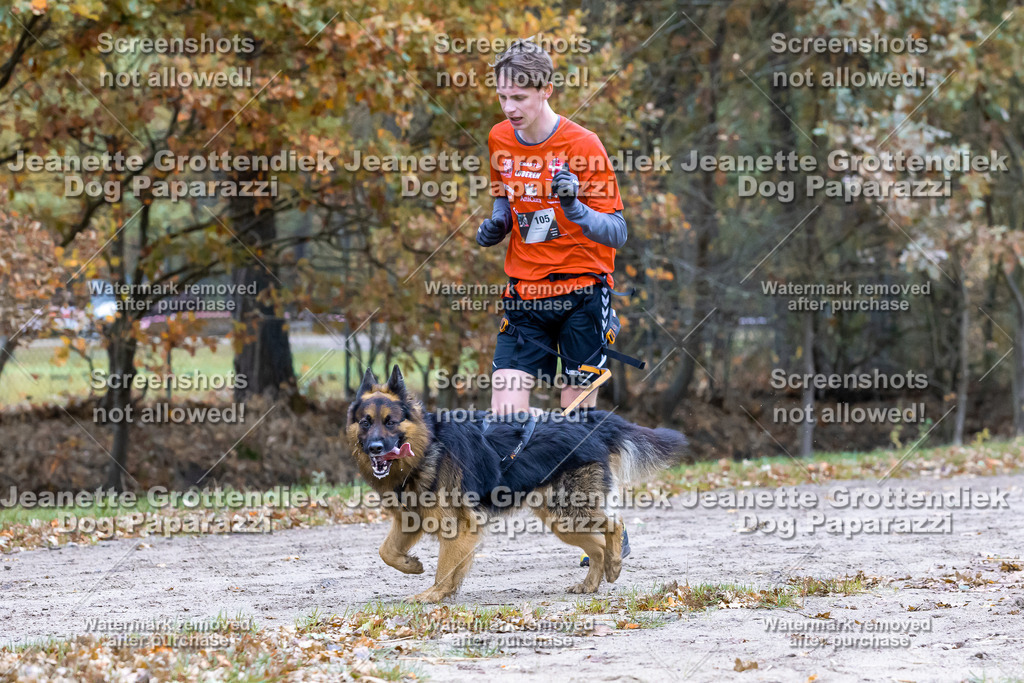 Dog Paparazzi - SD CaniX Championship 2025-408 | Dog Paparazzi Jeanette Grottendiek Fotografie & Videografie - Realisiert mit Pictrs.com