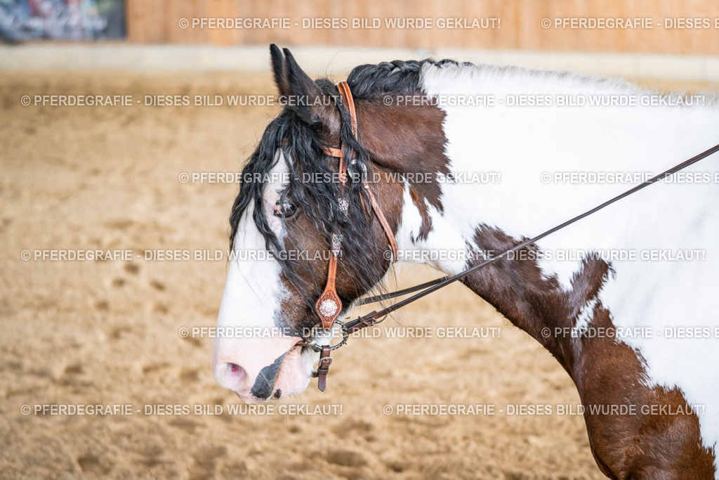 DSC09293 | Pferdegrafie