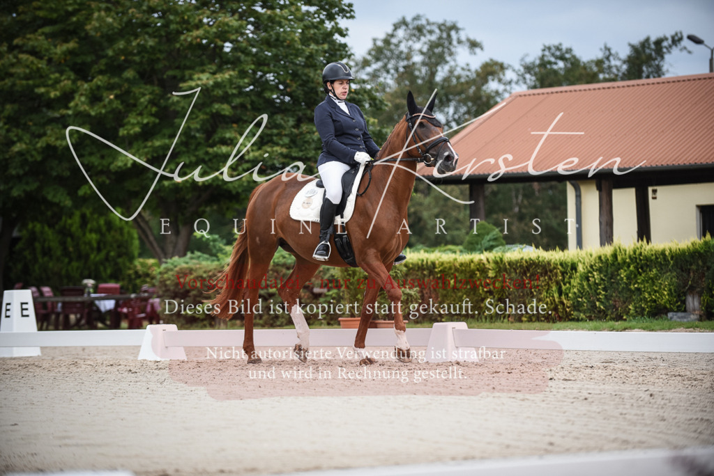 DSC_8372 | Pferde- und Turnierfotografie in Westsachsen. Pferdeportraits, Auftragszeichnungen und intuitive Kunst.