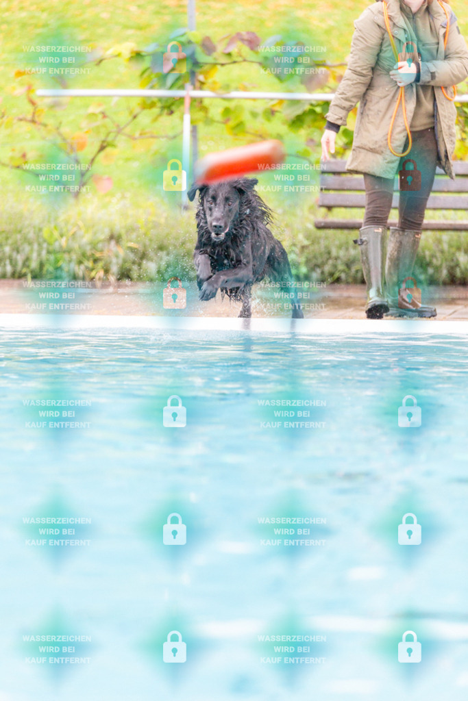 _HP_7239_1000o | HetPix, HetPix Fotodesign, Fotografie, Fotodesign, Webshop, Sportfotografie, Portraitfotografie, Onlineshop, Sportfotografie, Polch, Motorsportfotografie, Eventfotografie