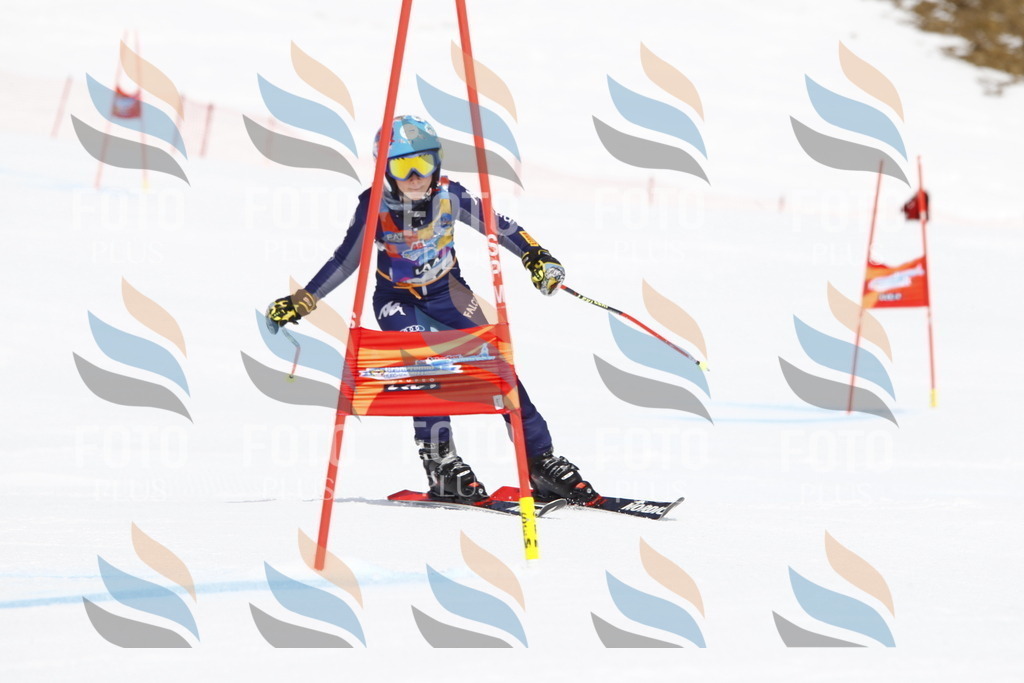 _U3G5905 | holidayphoto